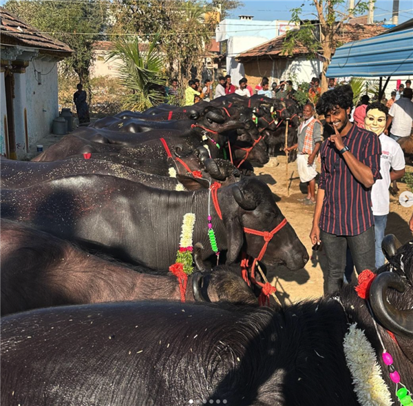 为了把钱花出去 印度网红请全城人免费加油一天