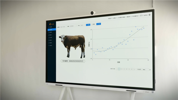 华为又开始“养牛”了？自动称重 云端直接显示生长曲线