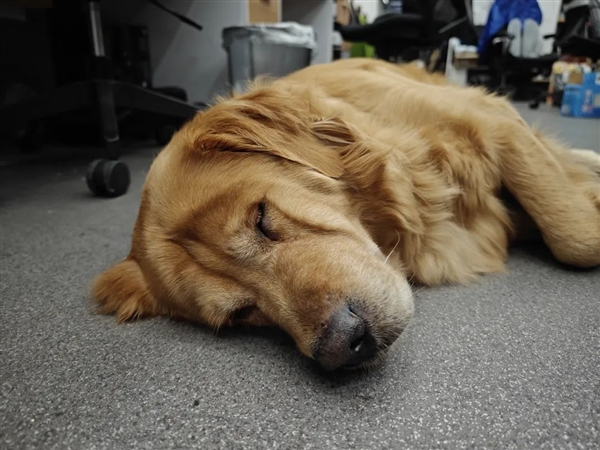 2599的红米、8999的折叠屏:小米依然是那个小米