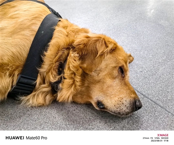 华为Mate 60 Pro深度体验:网速破千兆!跑分类似骁龙888