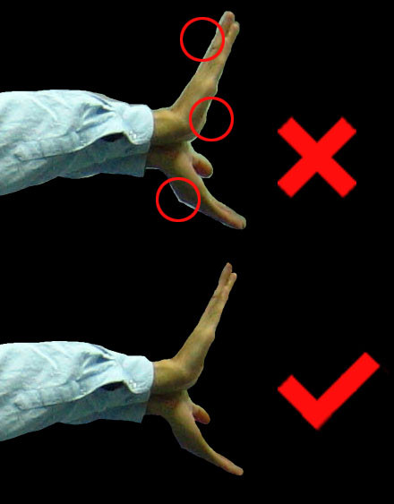 差点乐死老外的东东不死传说 竟然能在14年后焕发第二春