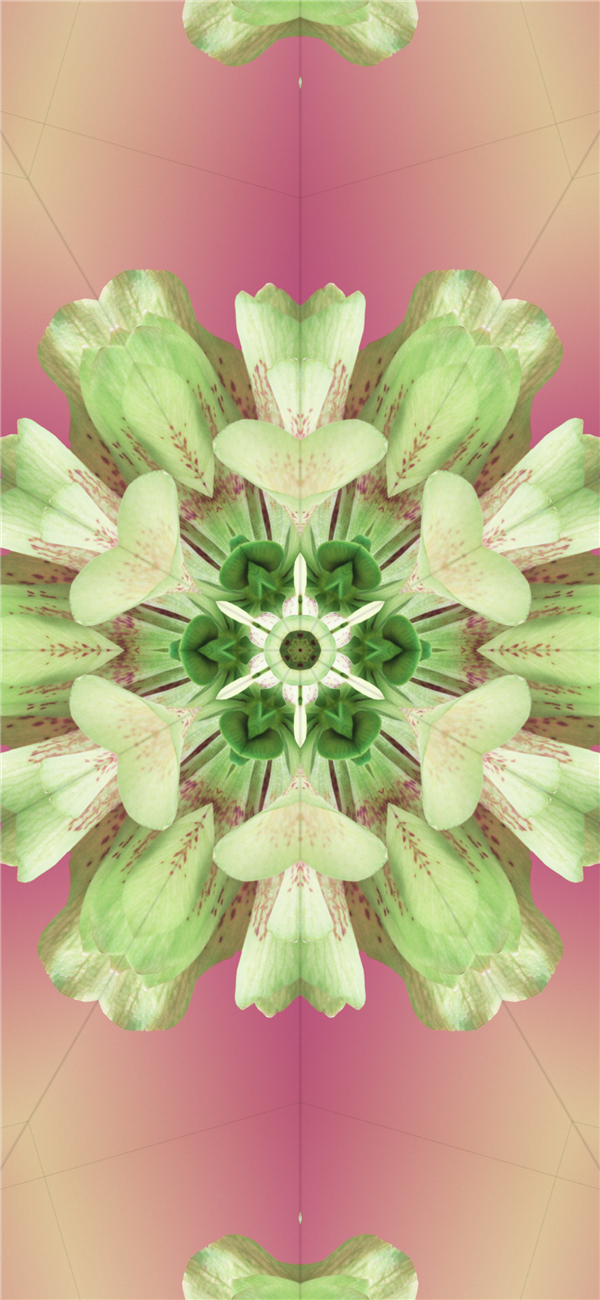 苹果iOS 17正式版已推送！原装高清壁纸分享