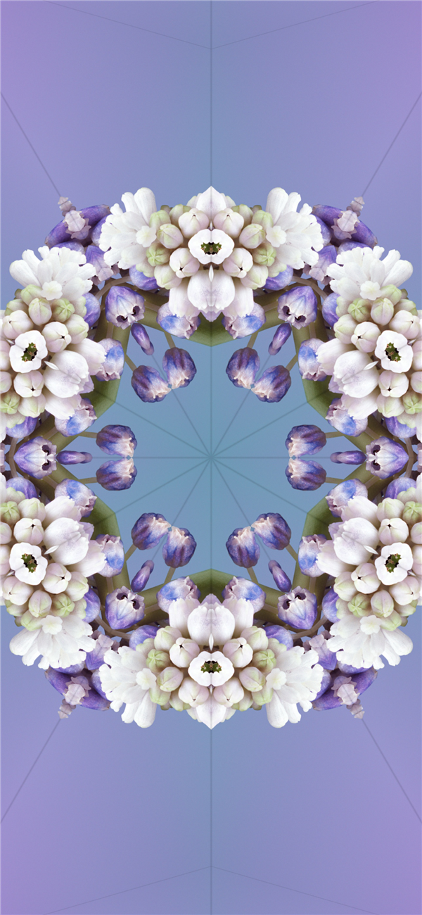 苹果iOS 17正式版已推送！原装高清壁纸分享