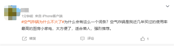 空气炸锅为什么不火了引热议 网友分两派：你家还用吗？
