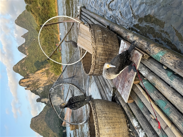 你到底该不该换iPhone 15 Pro?