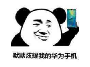 3000元档？最便宜麒麟9000S手机 华为终极王炸将发布！