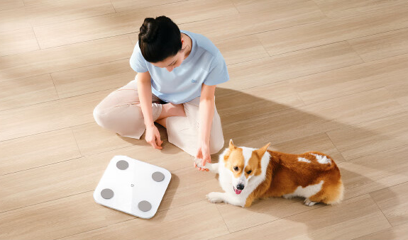 99元 小米推出米家智能体脂秤S400：支持静态心率检测