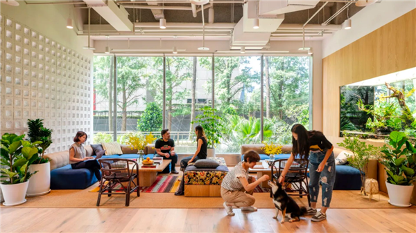 把公司整得快破产后 这位老哥拿着17亿美元溜了