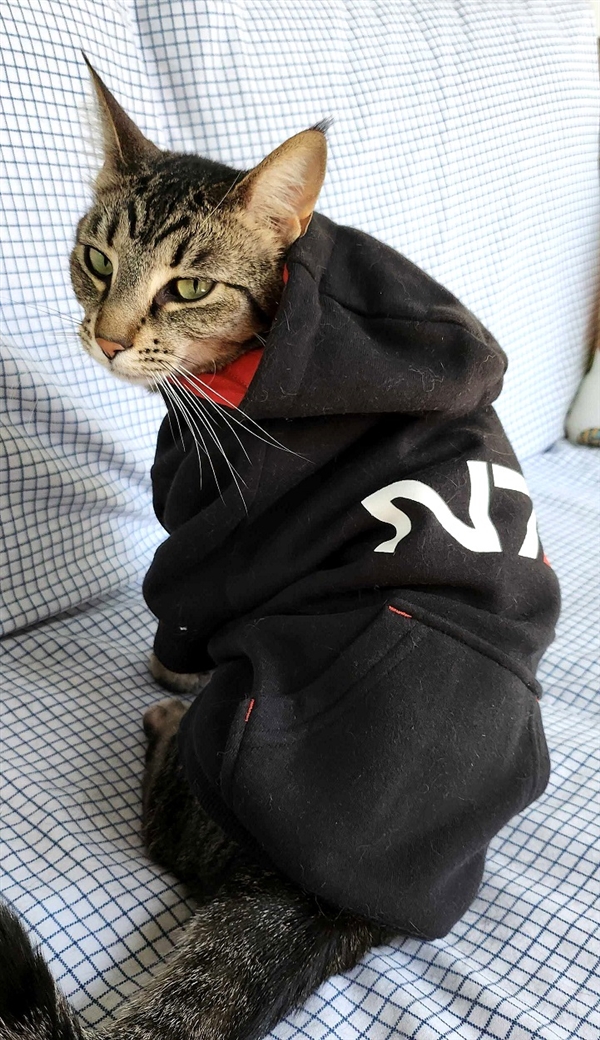 《质量效应4》遥不可及