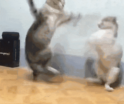 掰开安卓手机 满屏都是三个字:大模型