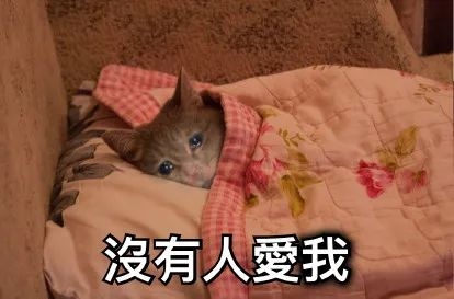 斗鱼CEO涉赌越闹越大:不少大主播突然停播 背后水太深了