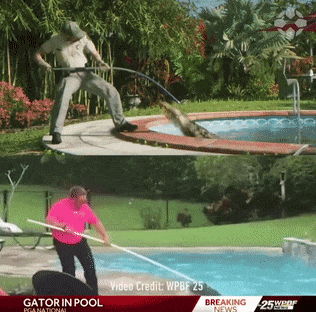 GTA6正式预告！美国最荒诞的新闻都被塞进了这款游戏