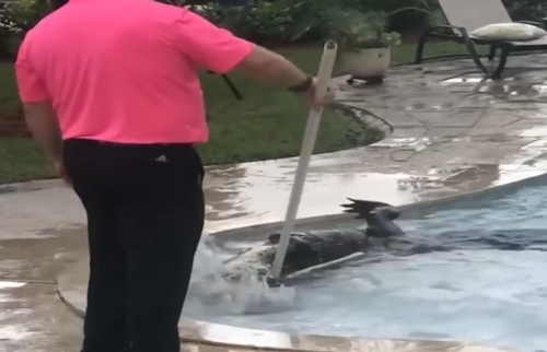 GTA6正式预告！美国最荒诞的新闻都被塞进了这款游戏