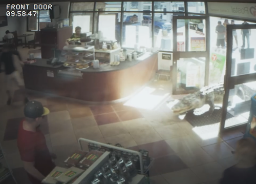 GTA6正式预告！美国最荒诞的新闻都被塞进了这款游戏