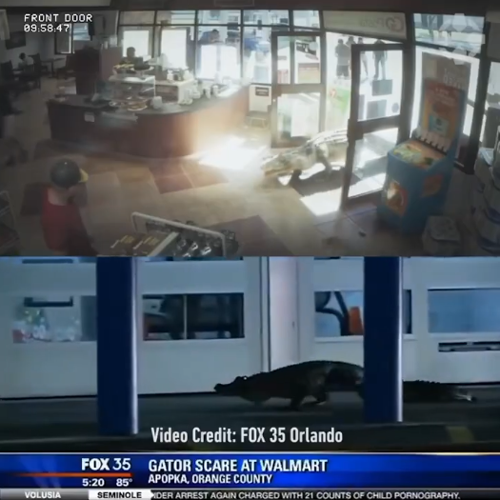 GTA6正式预告！美国最荒诞的新闻都被塞进了这款游戏