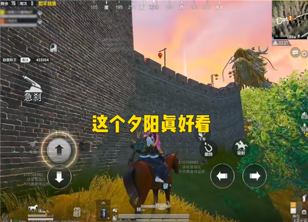 御龙飞行、骑马射箭:《和平精英》的新版本给我看傻了