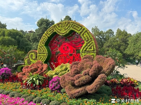 iPhone 15 Pro系列真实评测:苹果跌落神坛