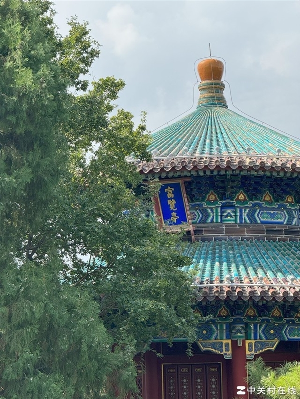 iPhone 15 Pro系列真实评测:苹果跌落神坛