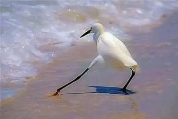 超级暴利的互联网“算命”：有人半小时赚了四位数