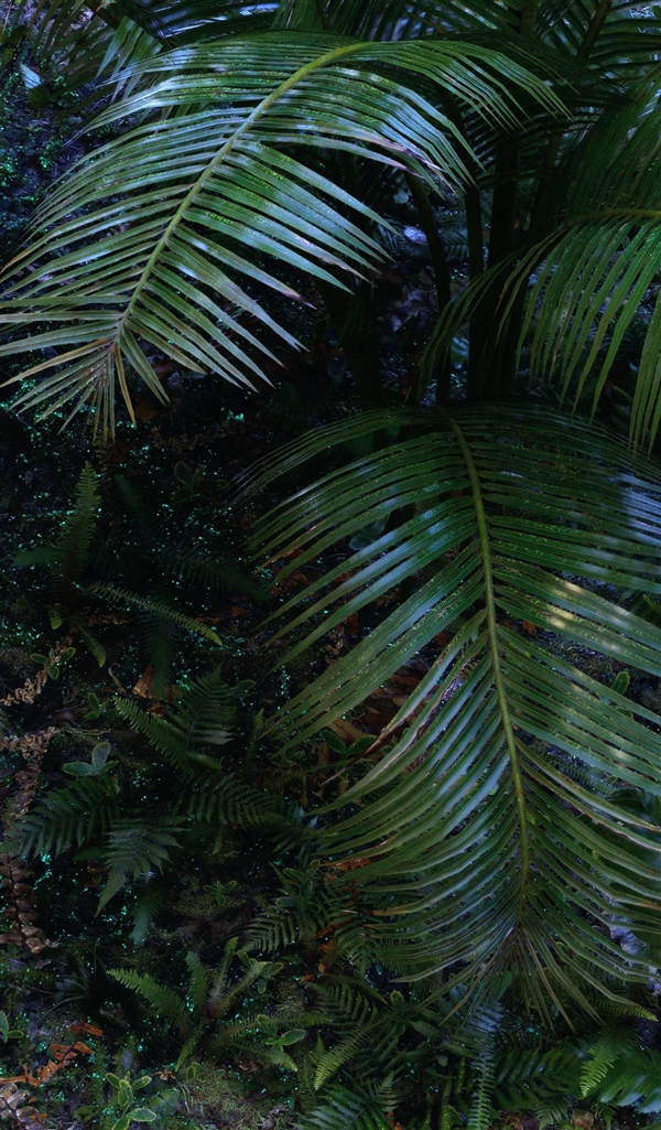 《波斯王子：失落的王冠》即将面市