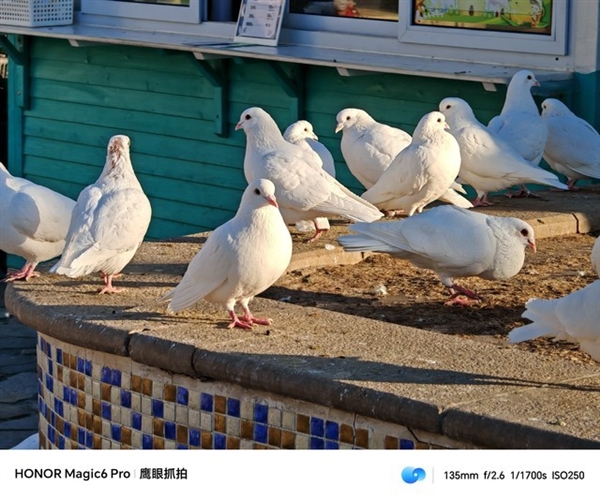 荣耀Magic6 Pro上手体验:比遥遥领先还要领先