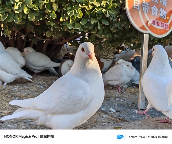 荣耀Magic6 Pro上手体验:比遥遥领先还要领先