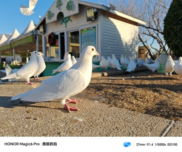 荣耀Magic6 Pro上手体验:比遥遥领先还要领先