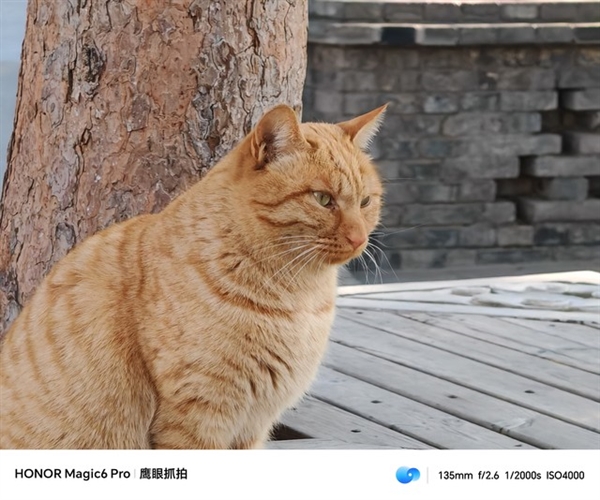 荣耀Magic6 Pro上手:比遥遥领先还要领先