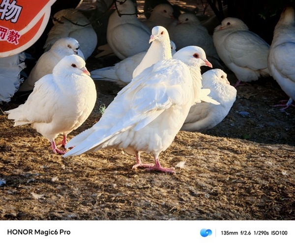 荣耀Magic6 Pro上手:比遥遥领先还要领先