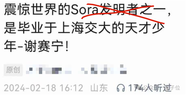 谢赛宁紧急辟谣：Sora跟我一点关系没有、他们996搞一年了