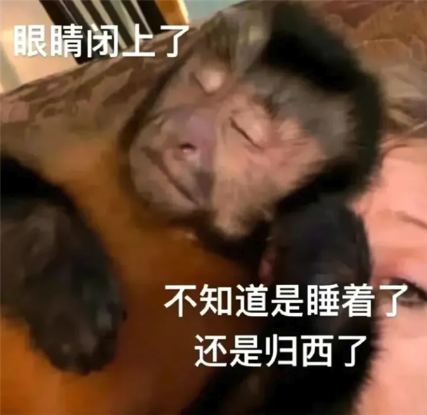 韩国人 卡住了英伟达的脖子