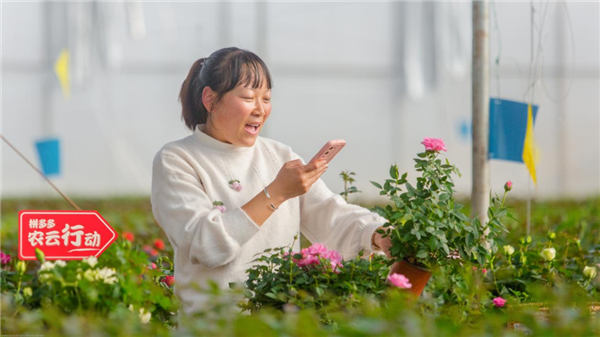 看完了拼多多的财报：我发现他们好像不在乎钱