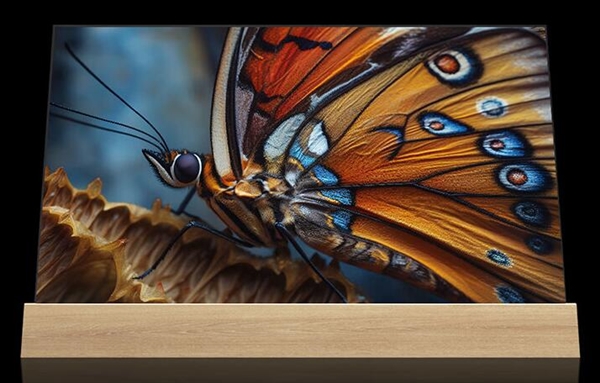 66900元 飞利浦推出“水木清华”55寸透明OLED电视：支持触控