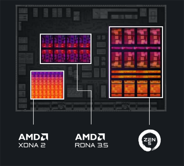 Zen 5对比初代已提升85％！AMD CPU/GPU/NPU三大新架构揭秘