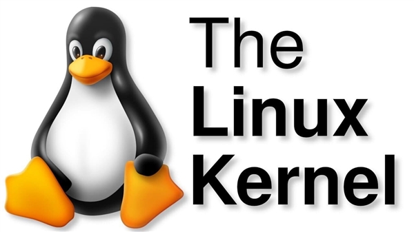 Linux开源翻车、RISC-V开放隐忧：中国自主科技的真正出路在哪儿