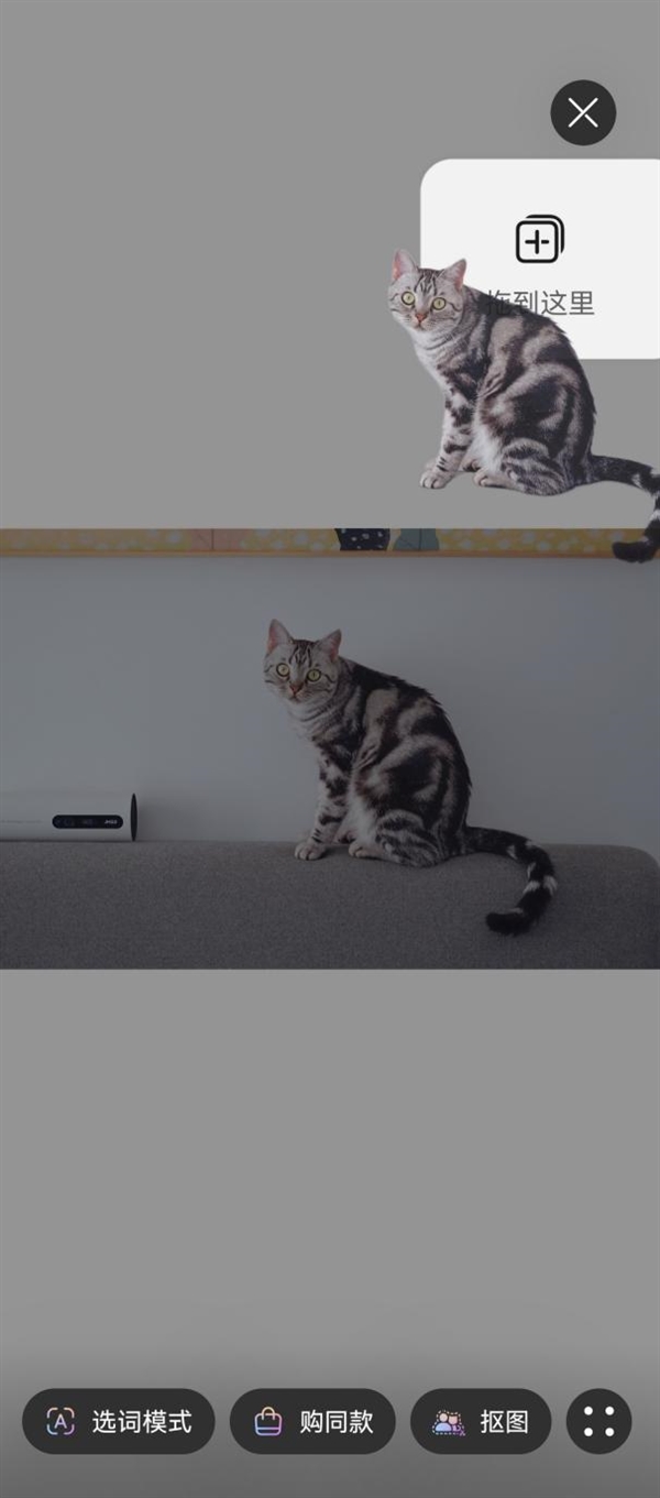 华为nova 13系列AI最佳表情体验评测：人人都是表情管理大师