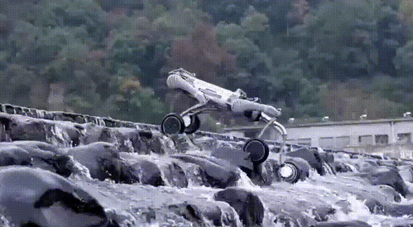 中国先进机器狗引发全球轰动 宇树科技大量招兵买马：算法工程师年薪超90万元