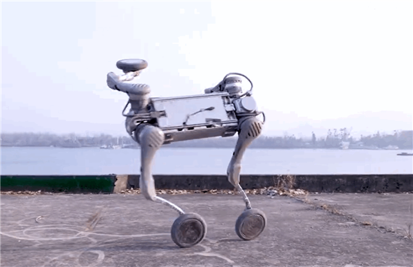 中国先进机器狗引发全球轰动 宇树科技大量招兵买马：算法工程师年薪超90万元