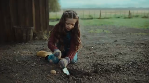 AI输给了一匹马 OpenAI首度亮相“美国春晚”遭差评