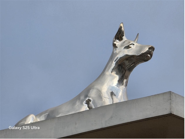 真正的安卓机皇只有一款！三星Galaxy S25 Ultra上手