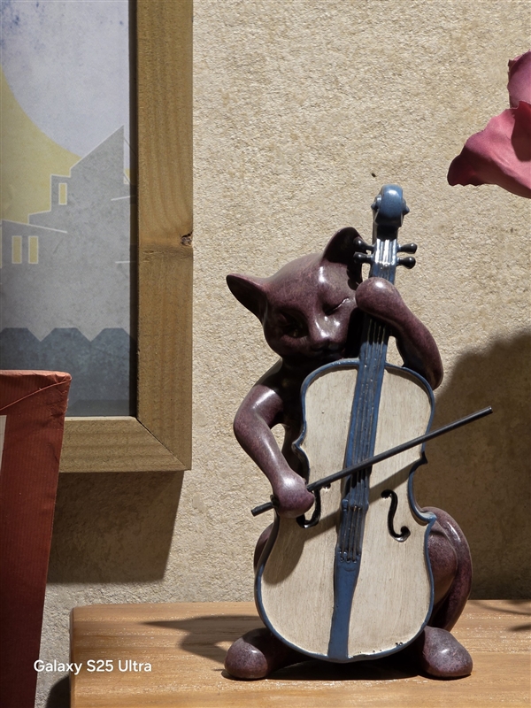 真正的安卓机皇只有一款！三星Galaxy S25 Ultra上手