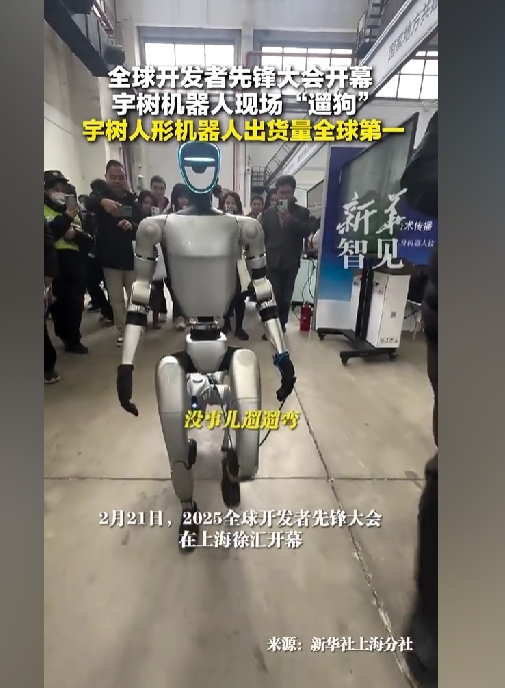 机器觉醒！宇树科技人形机器人牵绳遛机器狗 后面跟了一大群人