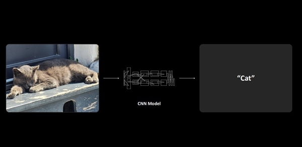 英伟达RTX 5070 12GB FE显卡上手:2K 200帧 起飞了