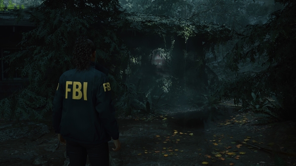 英伟达RTX 5070 12GB FE显卡上手:2K 200帧 起飞了