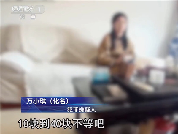 每单收几十元：女子开10多家网店接单网暴他人