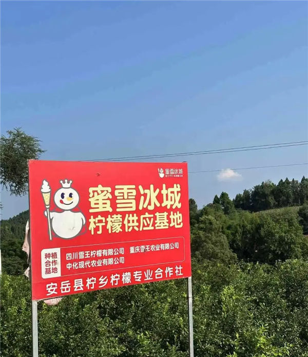 8秒就能出一杯奶茶！霸王茶姬比蜜雪冰城还会赚钱