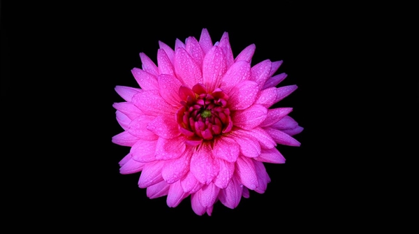 2025年电视画质天花板!海信RGB-Mini LED电视UX上手