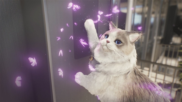 《inZOI》无同性恋被玩家批评 官方表示在紧急修复