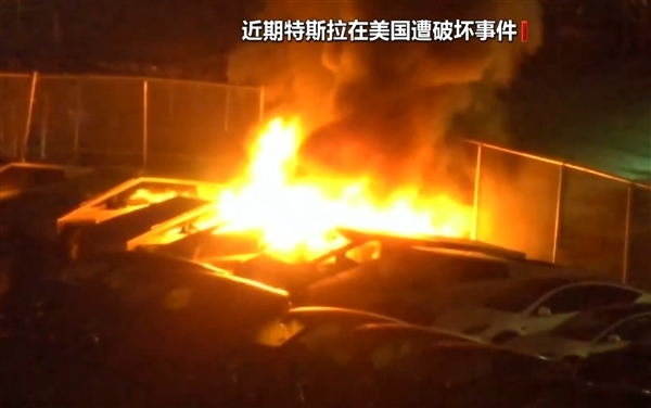 多地爆发“打倒特斯拉”活动！马斯克：DOGE让我付出了巨大代价 