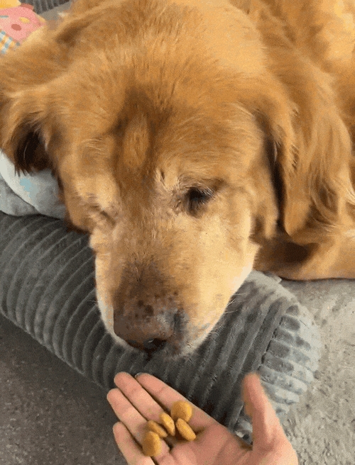 为啥网上那么多人在卖1分钱的东西！我发现了个大秘密